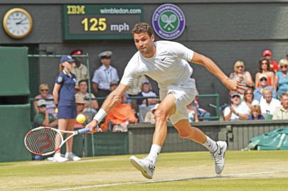 dimitrov ends murray s dream of defending crown dimitrov ends murray s dream of defending crown