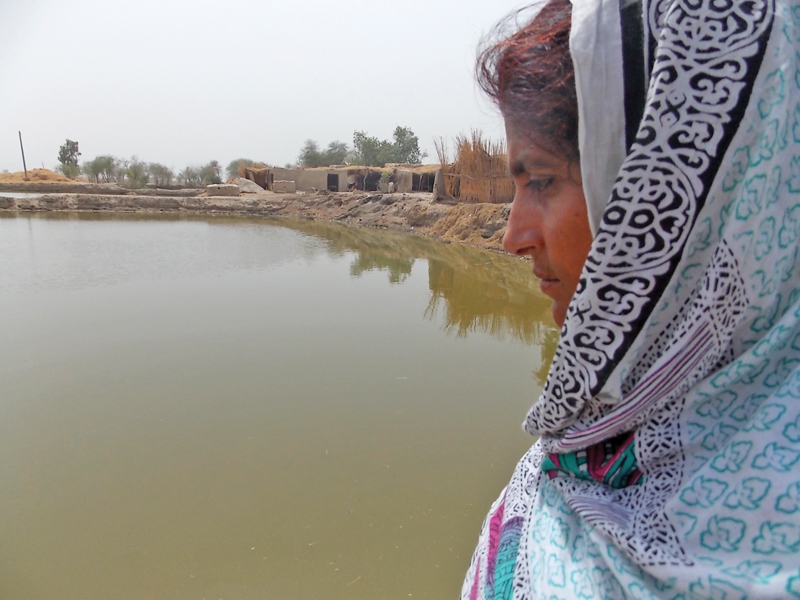 over the poverty line with the right bait struggling kamber woman opens fish farm