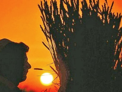 joint venture us expertise sought for conserving crops joint venture us expertise sought for conserving crops