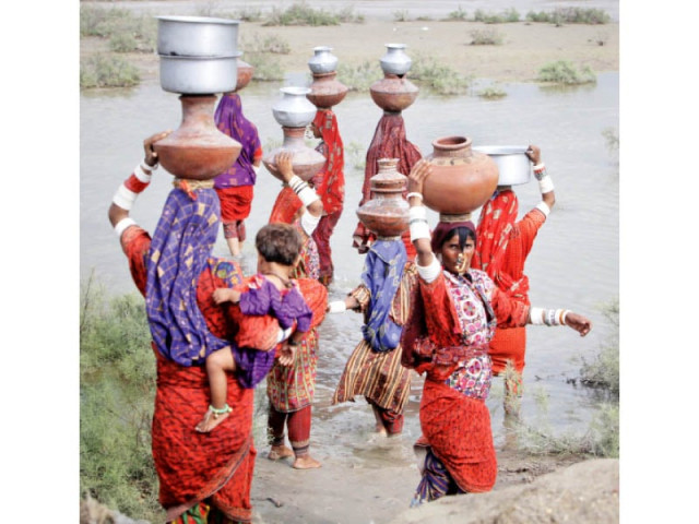 to greener pastures with parched throats badin residents migrate in search of water to greener pastures with parched throats badin residents migrate in search of water
