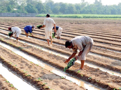 agriculture loan world bank approves 76m for sindh project agriculture loan world bank approves 76m for sindh project