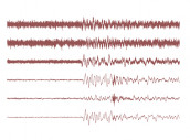 4 6 magnitude quake jolts northwestern pakistan