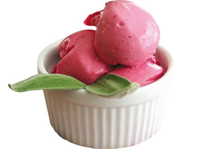 fro yo dessert anyone fro yo dessert anyone