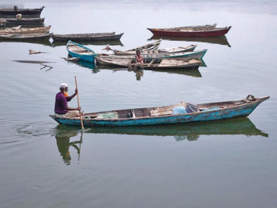 tangled up in blue the sindhi palla now sleeps with the fishes