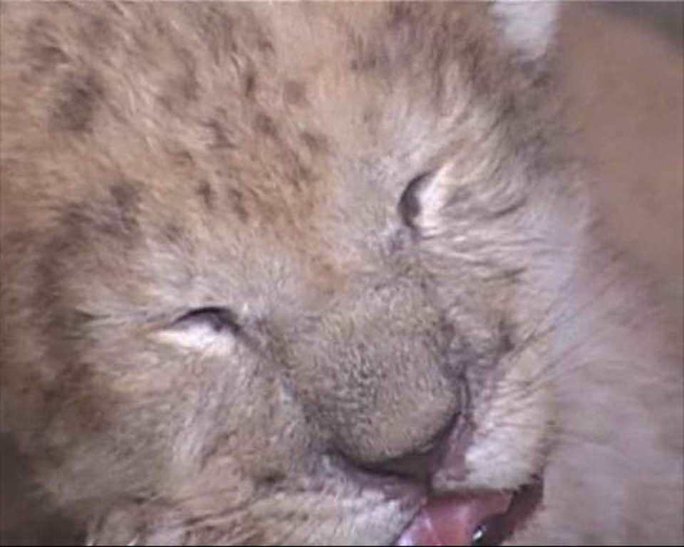 Updated Jul 14, 2014