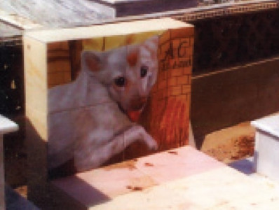 a dog s tale a man and his dog the hardest goodbye of all