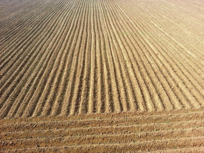 combating climate change govt committed to ensuring food security