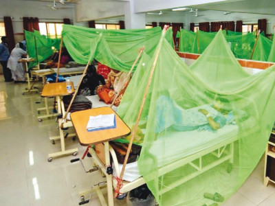 mosquito woes two more patients diagnosed with dengue