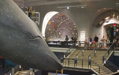 slumber party at the museum