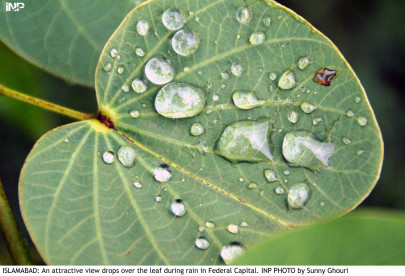 six die in rain related accidents in karachi