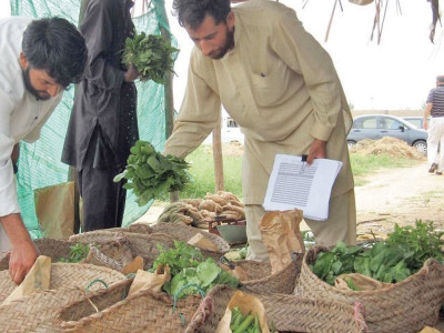 it is time to revive karachi s agricultural hinterland