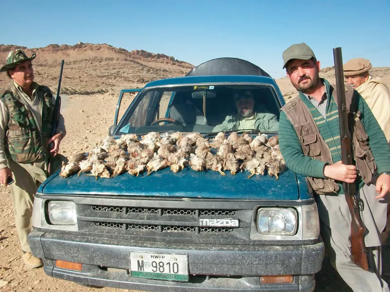 clipped wings hunter caught after posting rare pheasant pictures on facebook clipped wings hunter caught after posting rare pheasant pictures on facebook