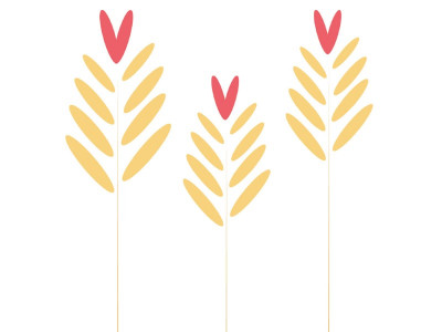 whole wheat health g r ains whole wheat health g r ains