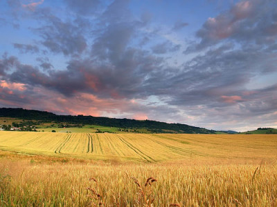 feudal stranglehold punjab govt yet to transfer land to agri graduates