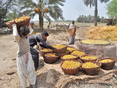 pattern need to re evaluate and study date consumption