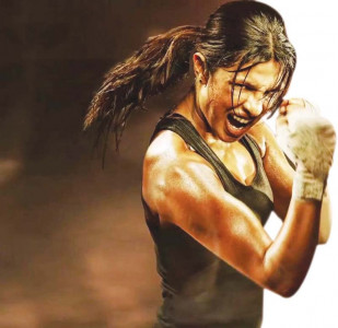 one champion represents another