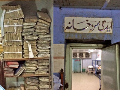 the third kind death and his friends the third kind death and his friends