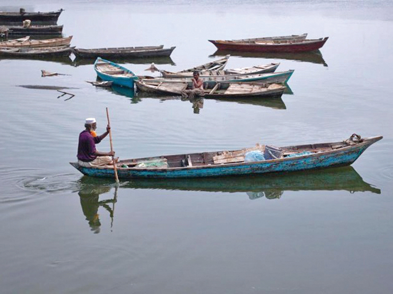 reviving livelihoods regeneration of coastal fish stock required in balochistan