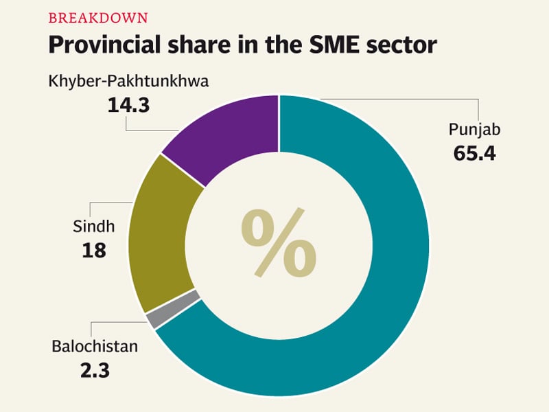 Progress analysis: SMEs vital to long-term sustainable growth, says Thaver