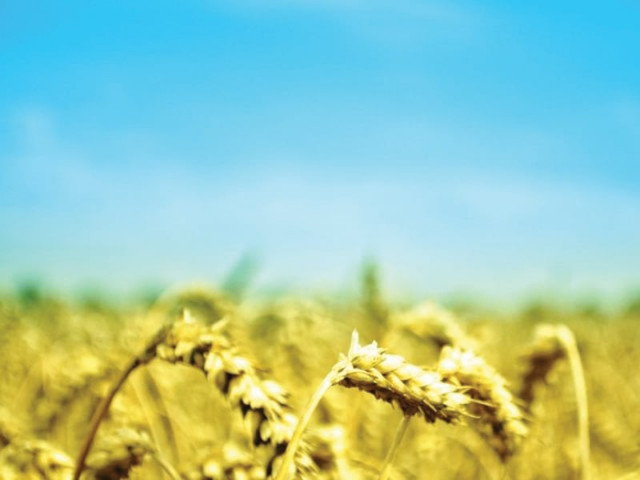 improving agriculture yield bio technologists highlight need for modern methods improving agriculture yield bio technologists highlight need for modern methods
