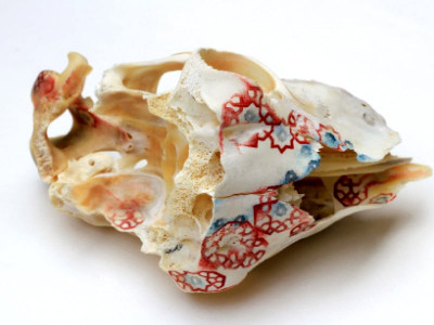 art of peace bone sculptures to be exhibited at travelling show art of peace bone sculptures to be exhibited at travelling show