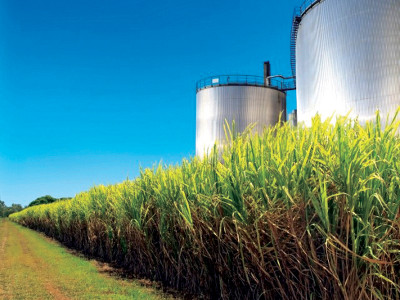 exploring alternative sources to counter power crisis