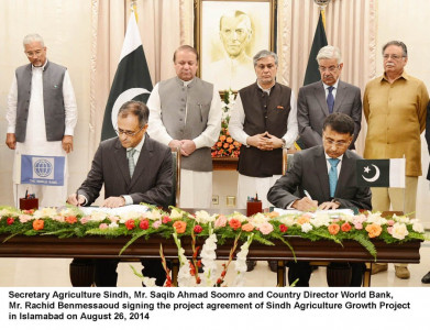 power agriculture world bank signs 665m financing agreements