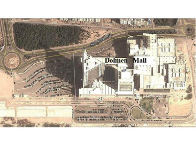 money grows on trees city managers provincial govt plan to chop down 1 400 trees money grows on trees city managers provincial govt plan to chop down 1 400 trees