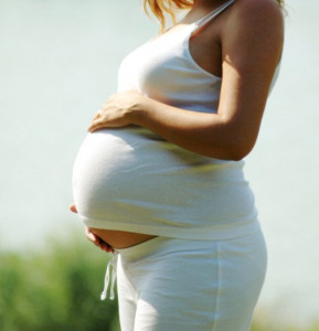 research seminar financial pressures cited as major trigger of domestic violence