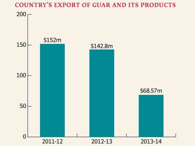 guar exports slide after international price falls guar exports slide after international price falls