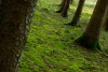 steps urged to protect environment steps urged to protect environment