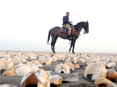 the other side hundreds lose source of livelihood as seaview remains closed for visitors the other side hundreds lose source of livelihood as seaview remains closed for visitors