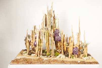 world flower show floral olympics