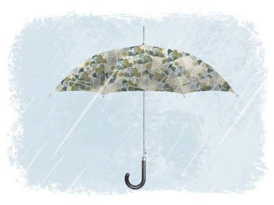 skewed priorities environment not on the agenda at climate change division