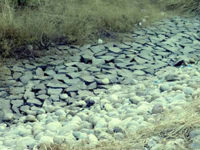 poor workplace conditions punjab govt acting against sweatshops says aag