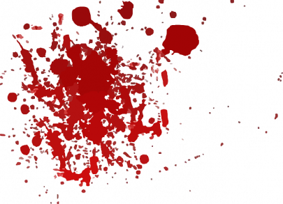 too trusting pir kills follower for miracle of life