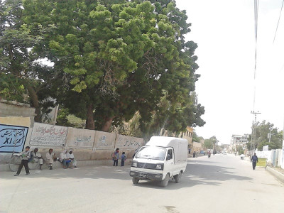 woodcutters looming large another tree cutting scam surfaces as school plans to chop down all