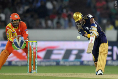 lions tamed by knight riders lions tamed by knight riders