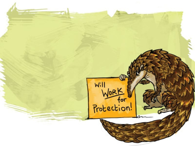 transformation underway wildlife attractions to be upgraded transformation underway wildlife attractions to be upgraded