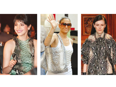 trend spotting slither in snake print