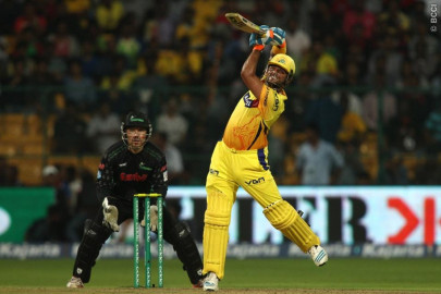 kings humiliate dolphins kings humiliate dolphins