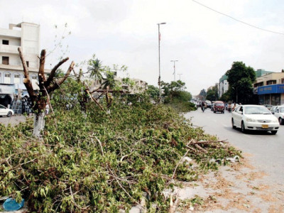 karachi commissioner launches another tree plantation drive forgets about old ones