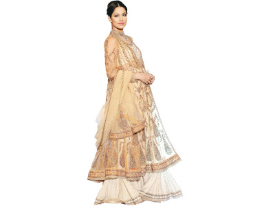 fit fabulous who s showing what at plbw 2014 fit fabulous who s showing what at plbw 2014