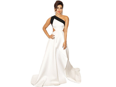 actors should stop being delusional priyanka