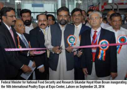 poultry govt to help industry tap potential boost growth