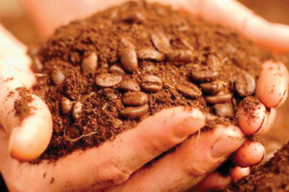 six gardening tips and tricks to know six gardening tips and tricks to know