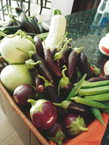 grow your own produce and reap benefits