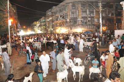 setting up shop illegal cattle pens take over the city setting up shop illegal cattle pens take over the city