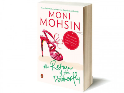 book review return of the butterfly   butterfly s musings