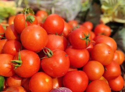 tomato prices double ahead of eid tomato prices double ahead of eid